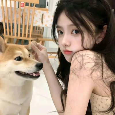 混沌之龙:赤龙战役