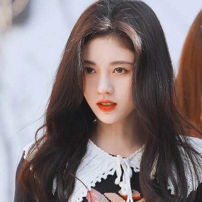 我的“狐朋狗友